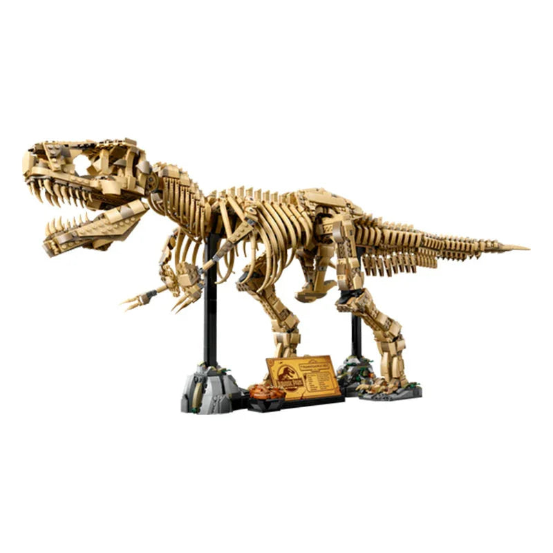 Fossile di scheletro di dinosauro T-Rex - 76968