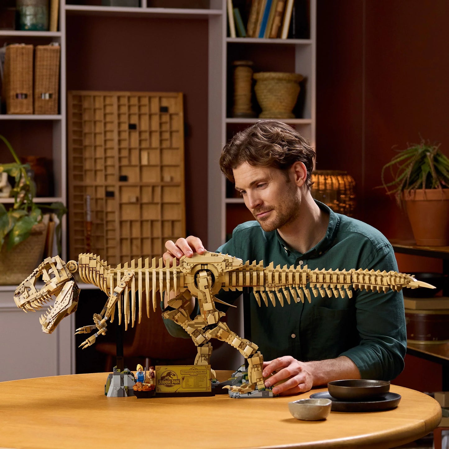 Fossile di scheletro di dinosauro T-Rex - 76968