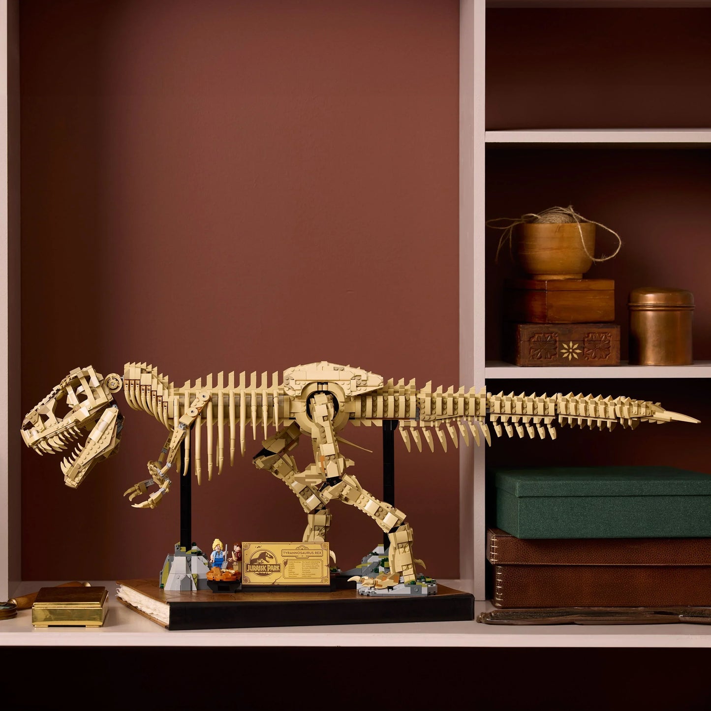 Fossile di scheletro di dinosauro T-Rex - 76968