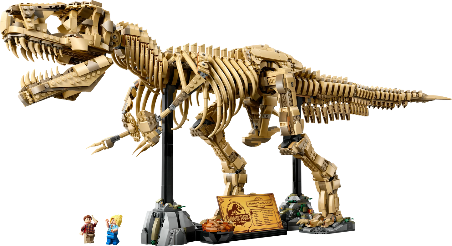 Fossile di scheletro di dinosauro T-Rex - 76968
