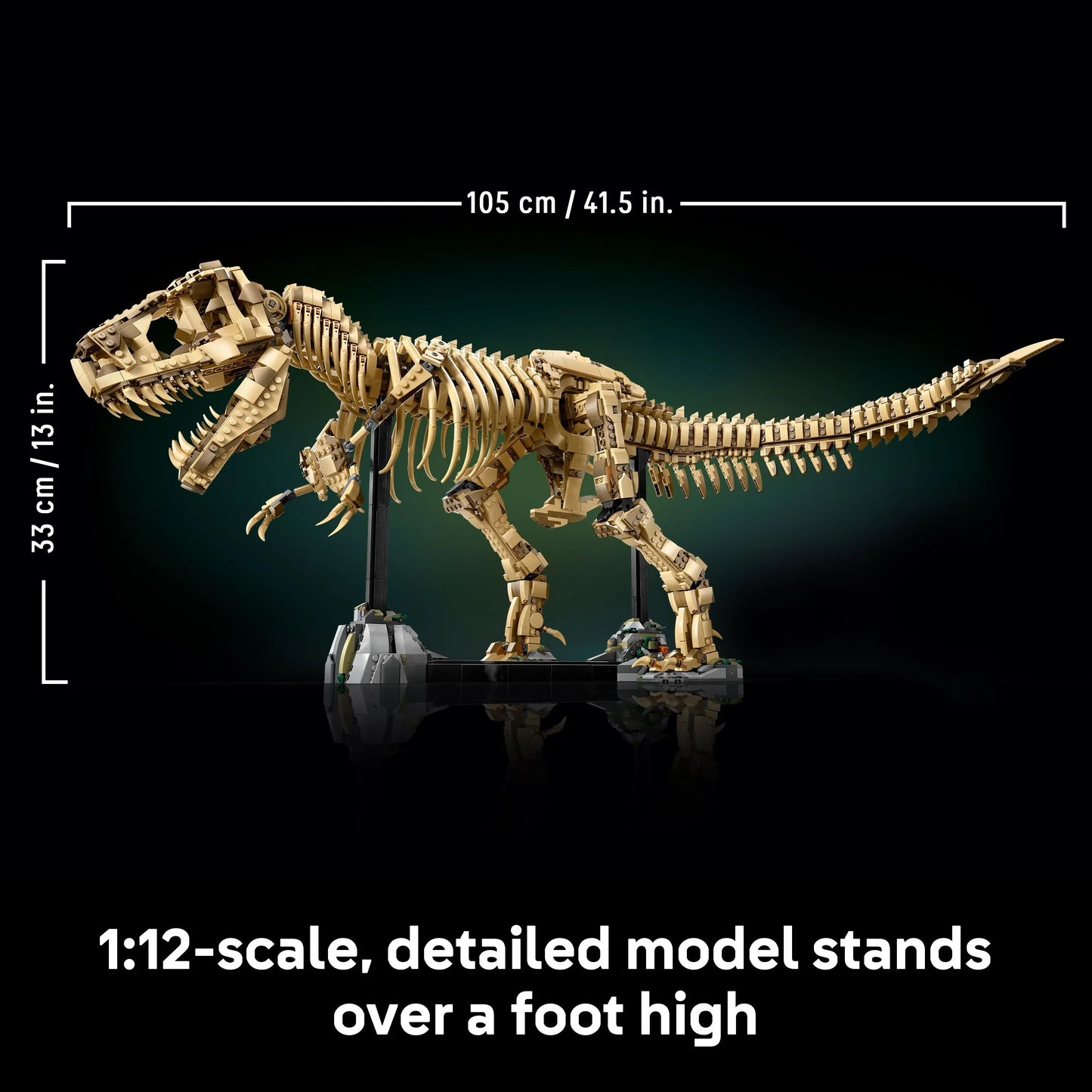 Fossile di scheletro di dinosauro T-Rex - 76968
