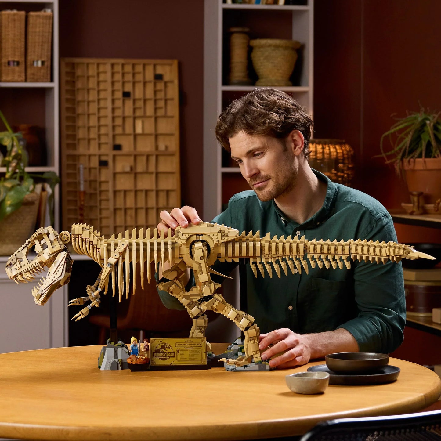 Fossile di scheletro di dinosauro T-Rex - 76968
