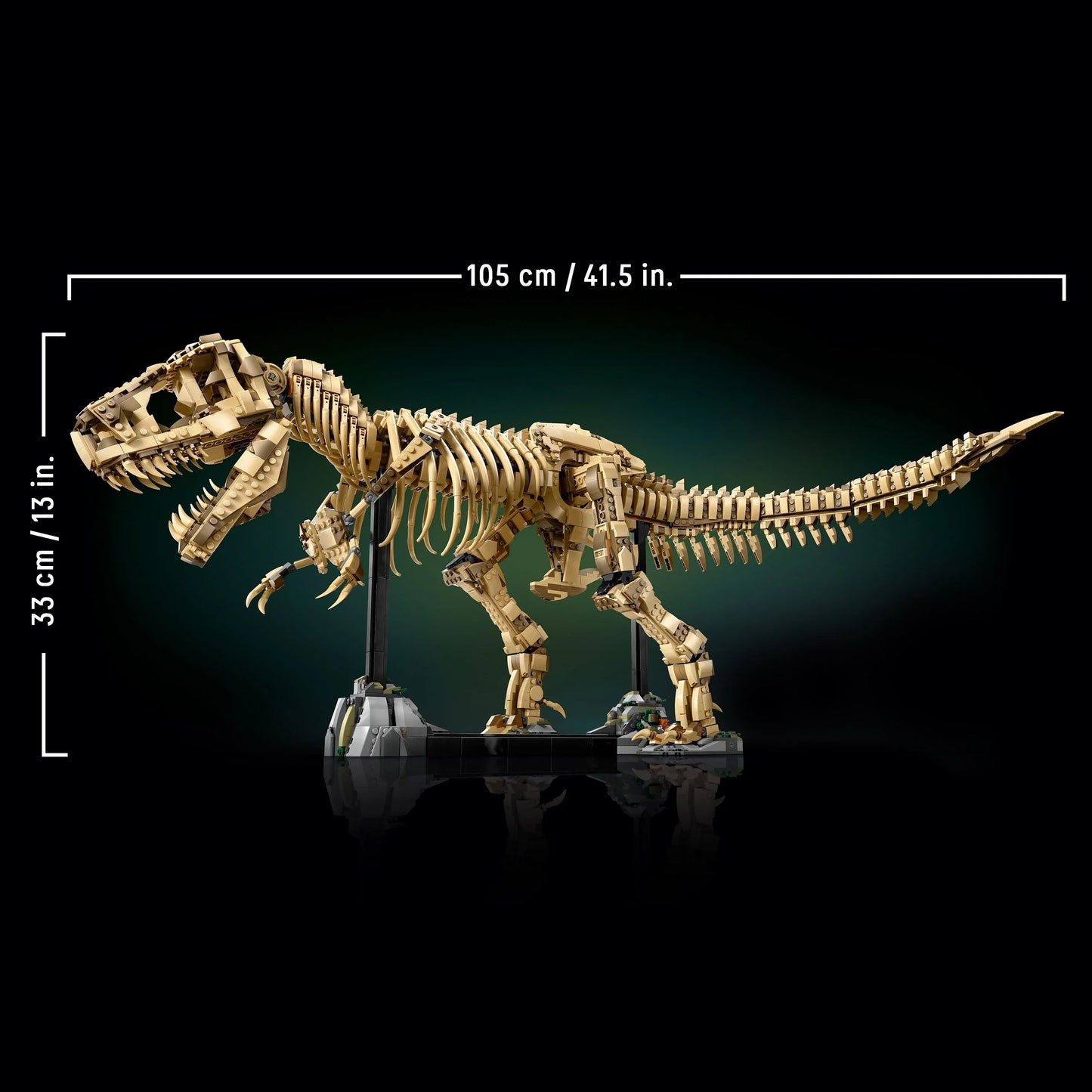 Fossile di scheletro di dinosauro T-Rex - 76968