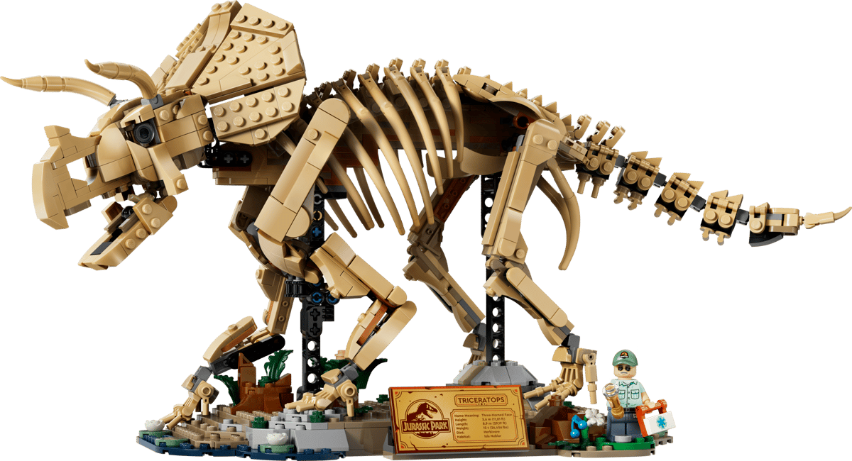 Fossili di dinosauro: Triceratops77985-Magazzino EU