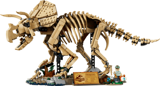 Fossili di dinosauro: Triceratops77985-Magazzino EU