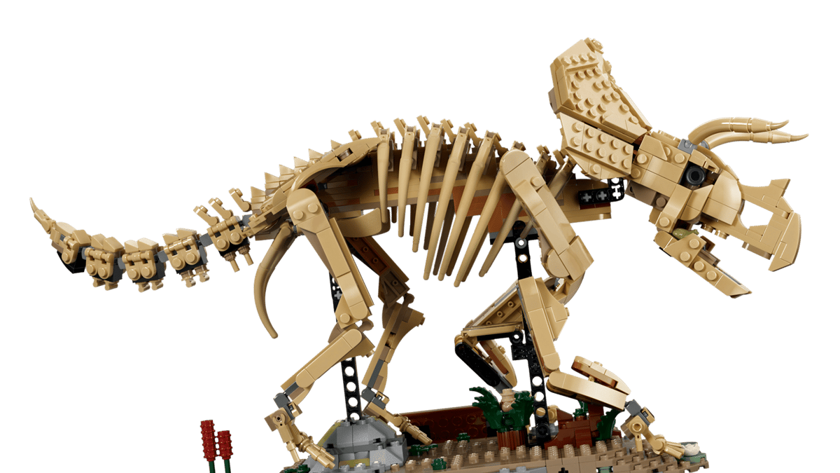 Fossili di dinosauro: Triceratops77985-Magazzino EU