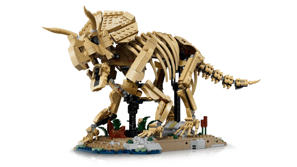 Fossili di dinosauro: Triceratops77985-Magazzino EU